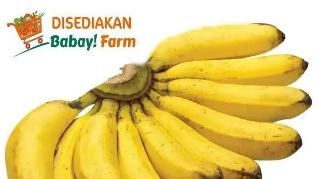 Pisang Susu (Foto: Blibli/Babay!Farm)