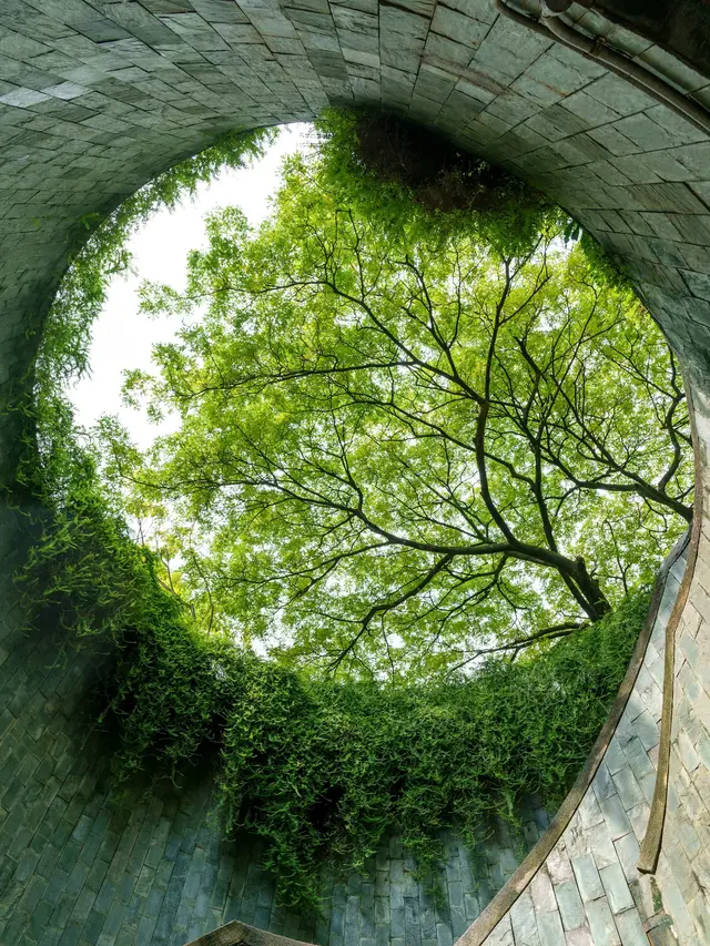 Fort Canning Park