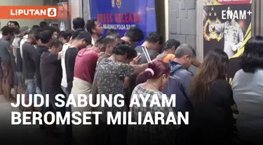 Arena Judi Sabung Ayam Beromset Miliaran Digerebek Polisi