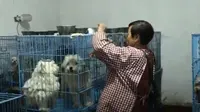 Wen Junhong, perempuan yang merawat 1,300 anjing, 100 kucing, dan kuda (dok.YouTube/AFP)