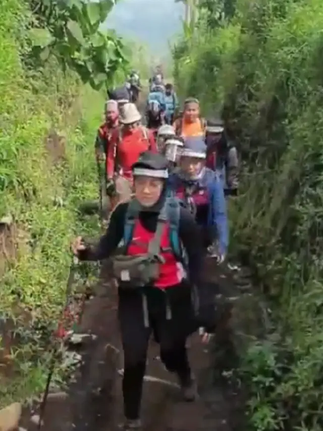 mendaki gunung
