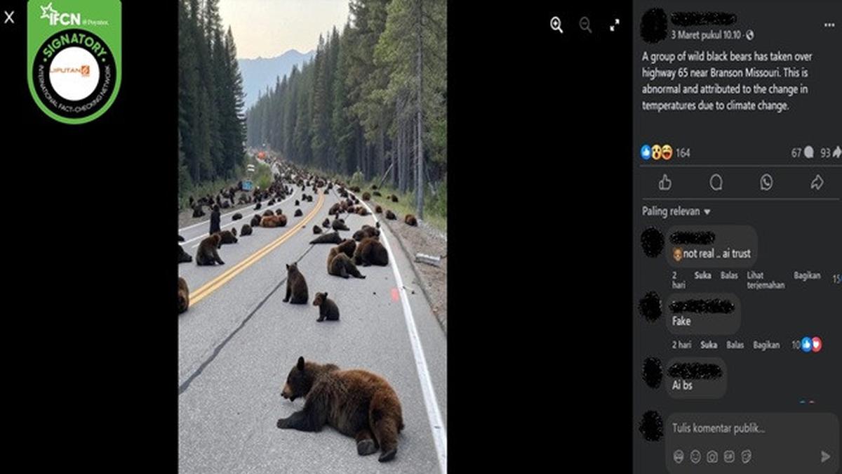 Cek Fakta: Tidak Benar dalam Foto Ini Sekelompok Beruang Hitam Memenuhi Jalanan di Missouri Akibat Perubahan Iklim