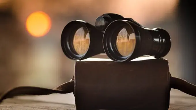 copyright by Pexels.com