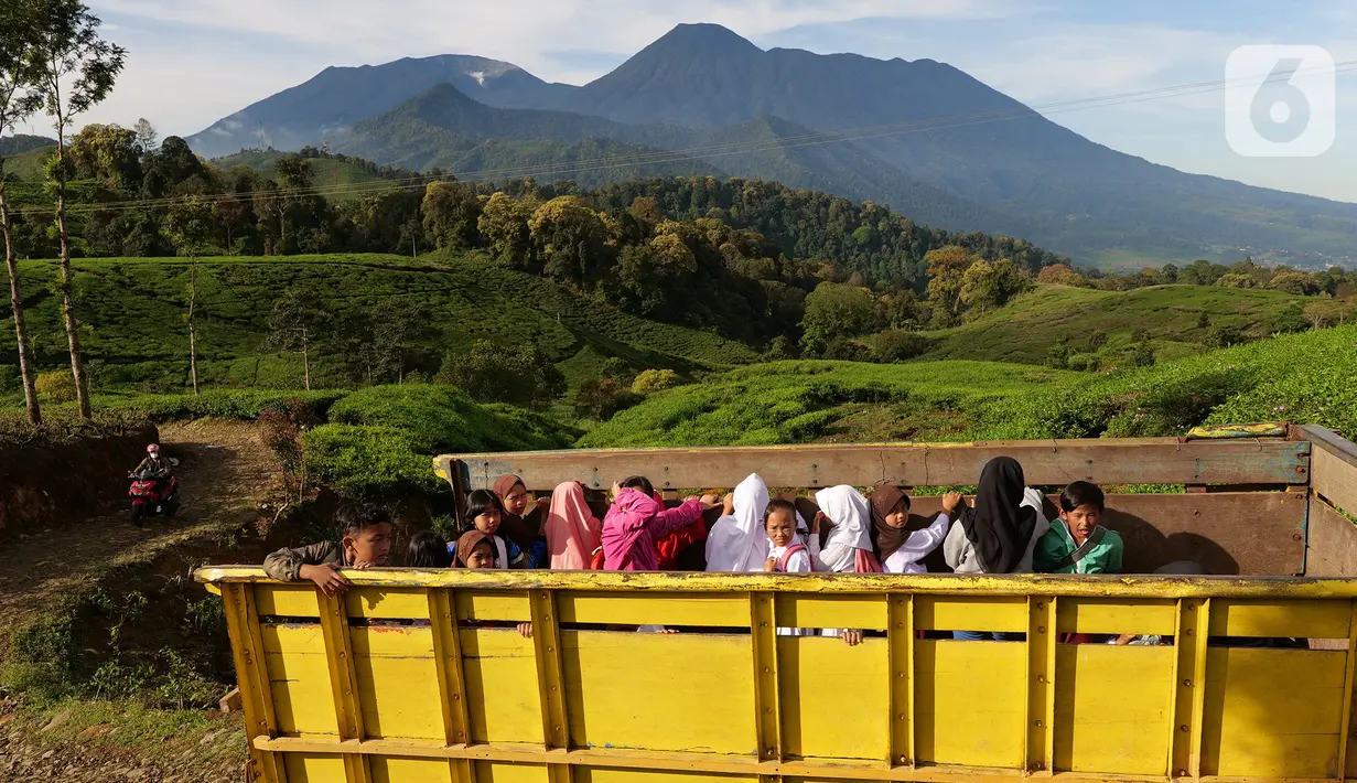 Sejumlah siswa menumpang truk di kawasan Cikoneng, Bogor, Selasa (30/3/2021). Untuk menuju sekolahnya di SDN Cikoneng, sebagian siswa harus menumpang truk, jalan kaki dan membawa kendaraan pribadi karena akses jalan yang sulit di daerah perbukitan perkebunan teh. (Liputan6.com/Herman Zakharia)