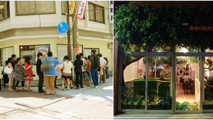 Photo copyright Dailymail.co.uk/Asiantown.net