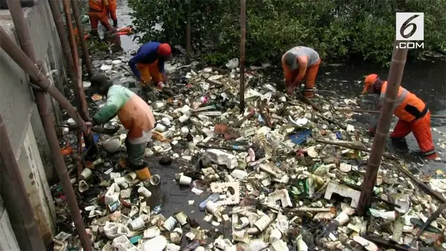 Petugas PPSU melakukan bersih-bersih hutan mangrove teluk Jakarta. Hasilnya banyak ditemukan sampah yang berasal dari Bekasi.
