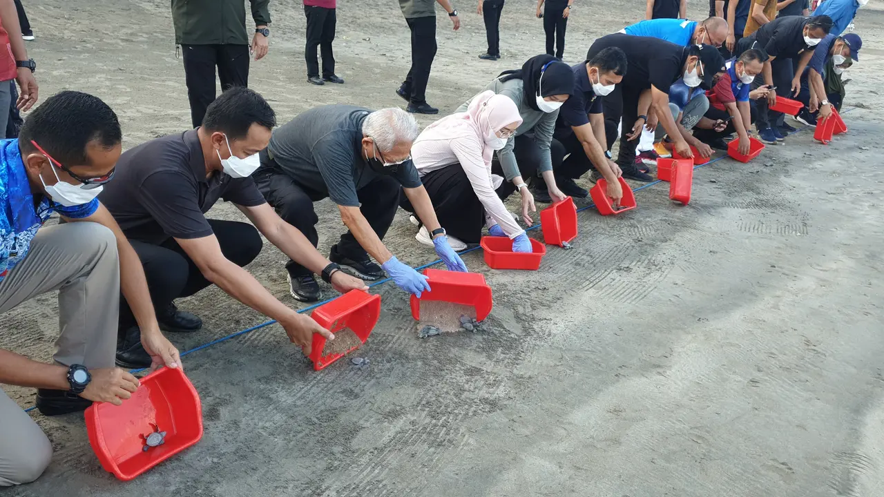 Wakil Presiden (Wapres) Ma'ruf Amin bersama Ibu Wury Ma'ruf Amin melepas anak penyu atau tukik di laut Pantai Kuta, Badung, Bali.