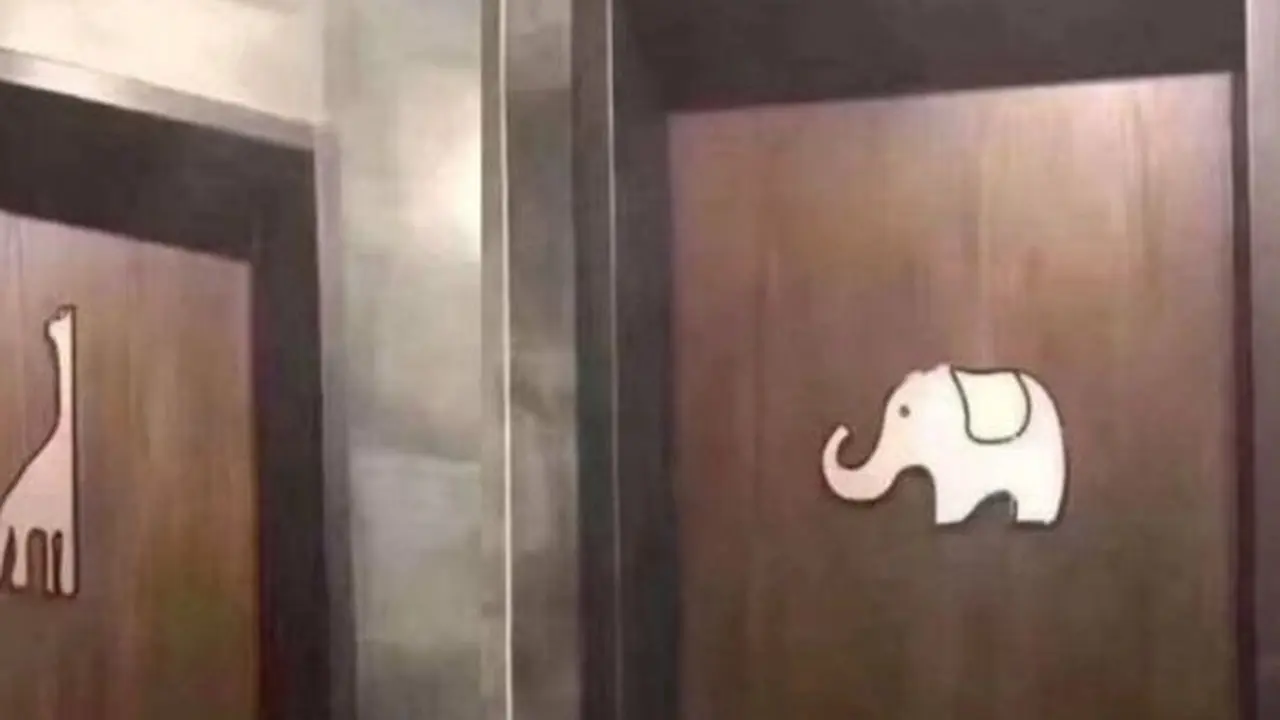 ingung Bedakan Toilet Wanita dan Pria, WC ini Jadi Viral