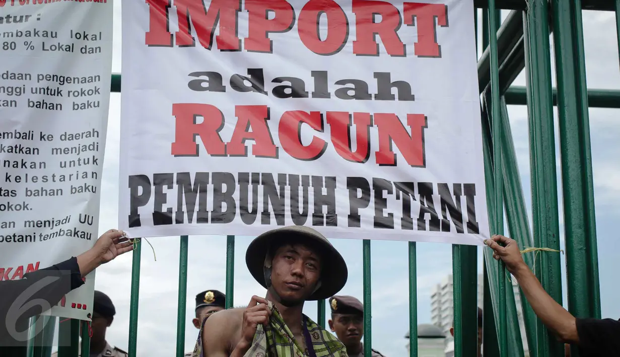 Seorang petani yang tergabung dalam Asosiasi Petani Tembakau Indonesia (APTI) ikut ambil bagian dalam unjuk rasa di depan Gedung DPR, Jakarta, Rabu (16/11). Dalam aksinya mereka meminta segera pengesahan RUU Pertembakauan. (Liputan6.com/Faizal Fanani)