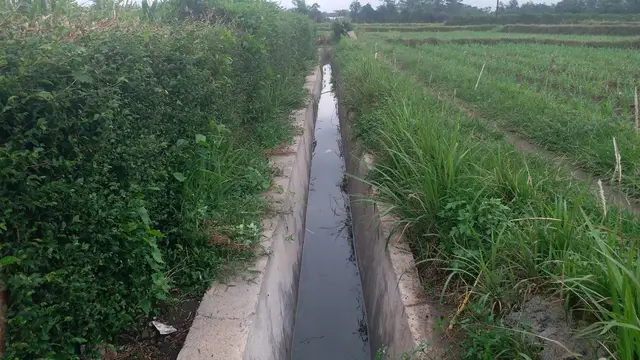 Rehabilitasi Jaringan Irigasi Tersier di Blitar.