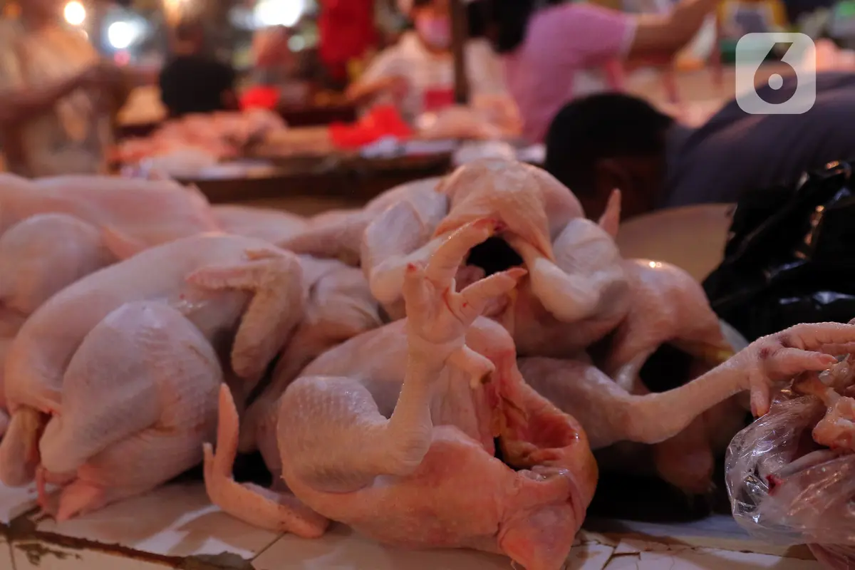 FOTO: Jelang Lebaran, Harga Daging Sapi dan Ayam Alami Kenaikan