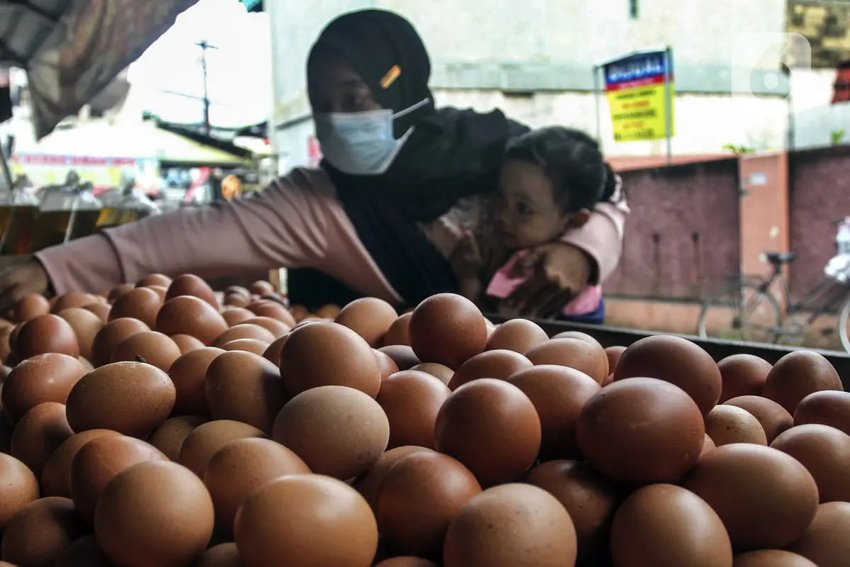 FOTO: Harga Telur Ayam Hampir Sentuh Rp 30 Ribu per Kg