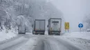 Truk melaju di jalan yang tertutup salju di Kocevje, dekat Ljubljana Slovenia, Senin (23/1/2023). Badai salju dengan angin kencang telah menghambat lalu lintas di jalan raya utama di Slovenia pada hari Senin dan menyebabkan beberapa bagian negara tanpa listrik untuk sementara waktu. (AP Photo)