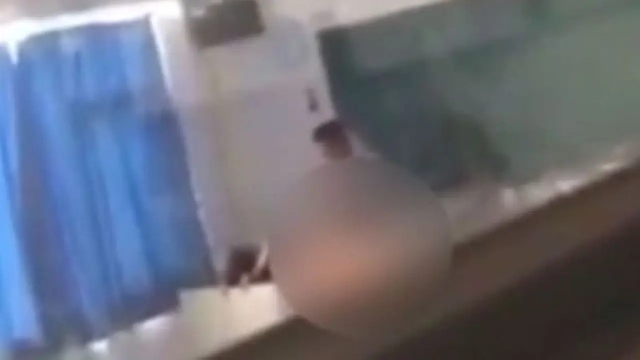 Heboh, Video Profesor Bercinta dengan Mahasiswi di Meja Kelas