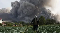 Seorang warga menyemprotkan pestisida pada tanamannya saat Gunung Sinabung melontarkan awan panasnya di Desa Tiga Serangkai, Karo, Sumatera Utara, Rabu (24/6/2015). (REUTERS/Beawiharta)