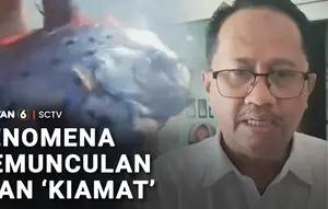 Fenomena Kemunculan Ikan 'Kiamat'