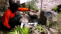 Batu Lumpang yang ada di Dusun II Desa Bolapapu, Kecamatan Kulawi, Kabupaten Sigi. (Liputan6.com/Dio Pratama)
