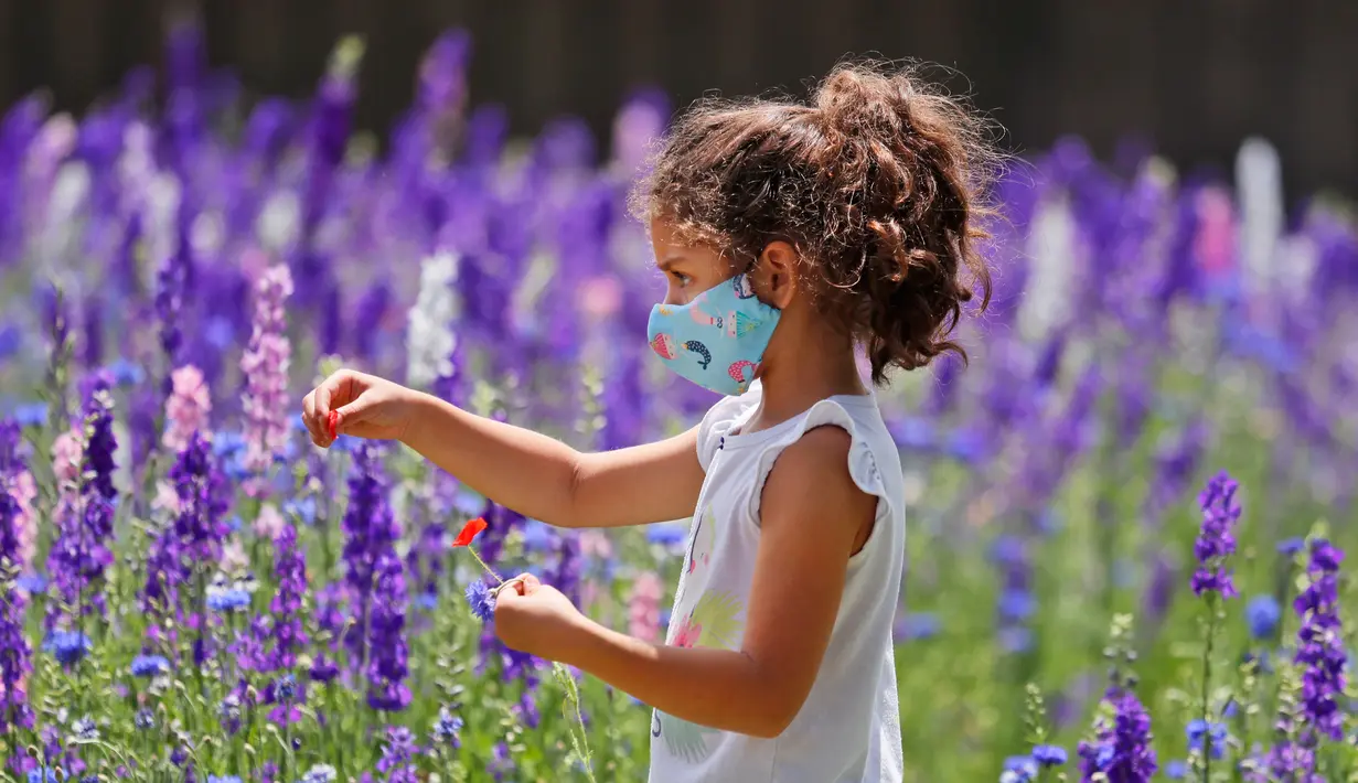 Seorang gadis Mia Liddell (7) mengenakan masker di tengah kekhawatiran penyebaran COVID-19 saat menikmati sepetak bunga liar Texas di Richardson, Texas, Selasa, (28/4/2020). (AP Photo / LM Otero)
