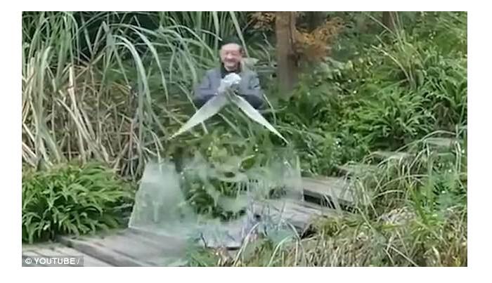 Video yang memperlihatkan jubah tak terlihat viral di internet (Sumber: DailyMail/ YouTube: OverlookingAsiaPasific)