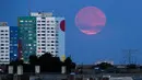 Bulan purnama terbesar atau supermoon muncul dari belakang sebuah bangunan tempat tinggal di Berlin, Senin, 19 Agustus 2024. (AP Photo/Markus Schreiber)