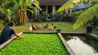 10 Cara Membuat Sistem Ternak Ikan dan Kebun Sayur yang Saling Menguntungkan, Hemat Lahan dan Pakan