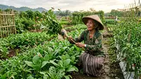 7 Cara Mengusir Belalang dari Tanaman Sayur, Ampuh Bikin Daun Tidak Habis Dimakan