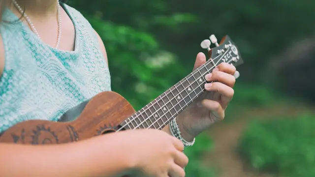 Ukulele