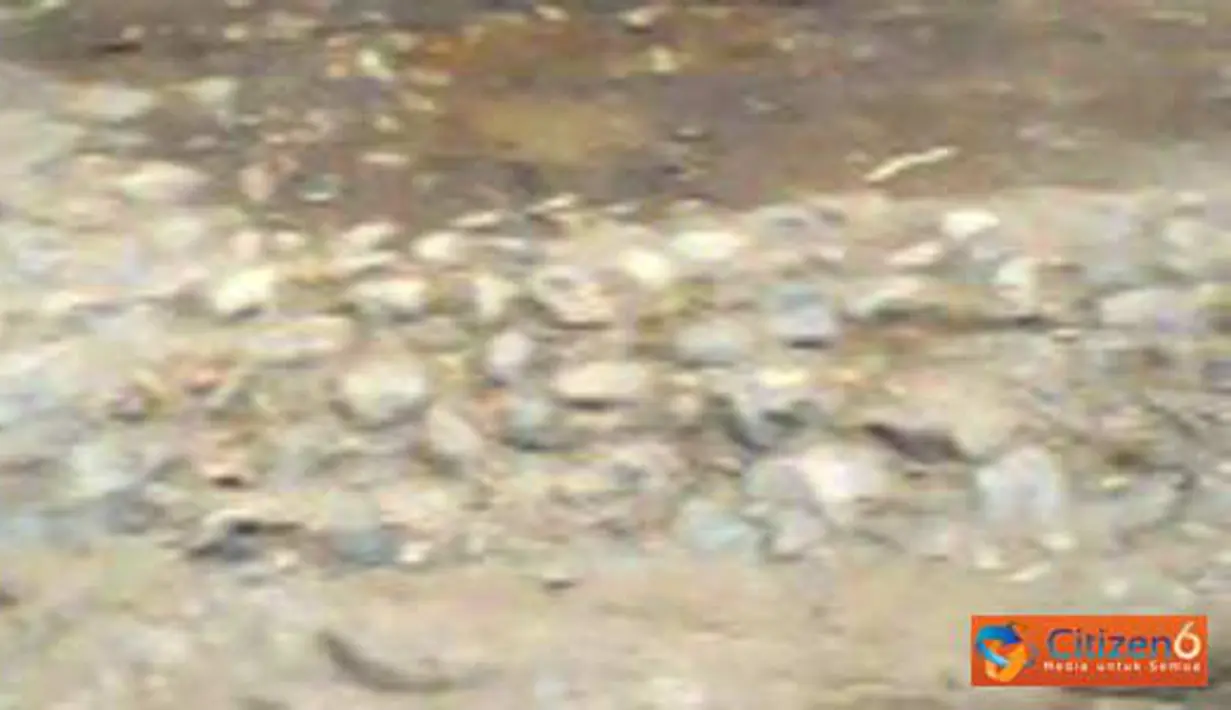 Jalan yang ada di Desa Jatiprahu, Kecamatan Karangan, Kabupaten Trenggalek tepatnya di Dusun Nggrogolan. Sejak tahun 1990 sampai saat ini belum juga diaspal.