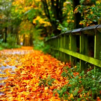 Setelah melihat 10 foto berikut ini, dijamin kamu ingin migrasi ke luar negeri.