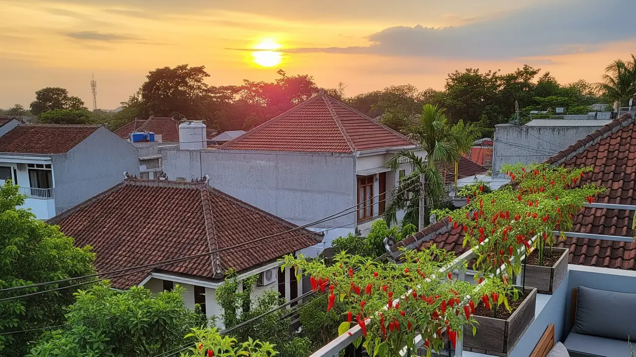 9 Model Kebun Cabai di Rooftop Rumah, Praktis dan Menguntungkan