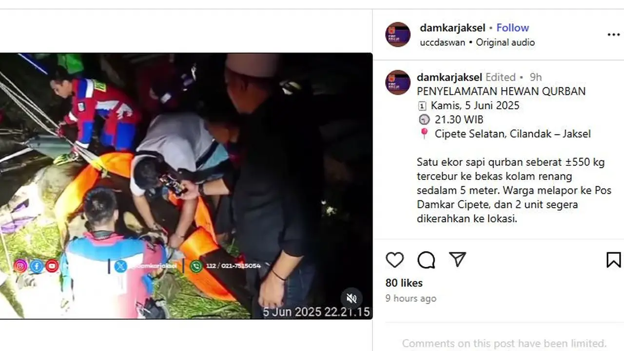 Suku Dinas Penanggulangan Kebakaran dan Penyelamatan Jakarta Selatan berjibaku menyelamatkan sapi kurban yang terperosok ke kolam sedalam 5 meter. (Instagram)