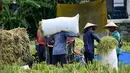 Situasi ini didukung pengembangan padi gogo di lahan kering seperti di wilayah Karangasem. Tampak dalam foto, para petani sedang mengirik padi hasil panen di Denpasar, Bali, pada Kamis 30 April 2026. (SONNY TUMBELAKA/AFP)