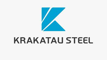 Krakatau Steel Gandeng Produsen Baja Terbesar China Operasikan Fasilitas Blast Furnace Complex