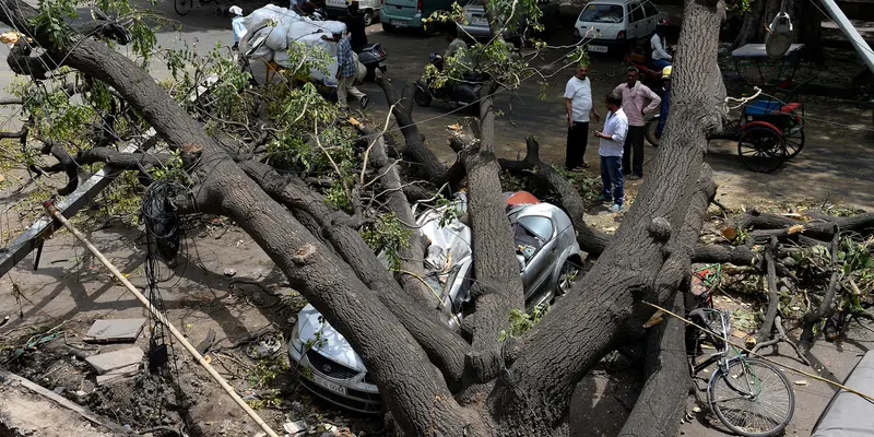 Diterjang Badai Angin, Pohon Tumbang Timpa Mobil di India