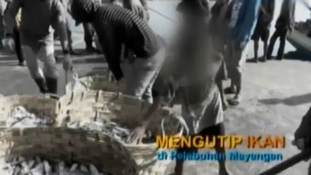 Sigi: Mengutip Ikan di Pelabuhan Mayangan