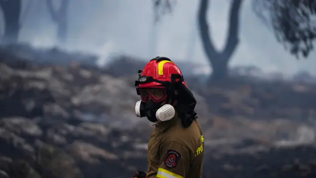 Kebakaran Hutan di Yunani
