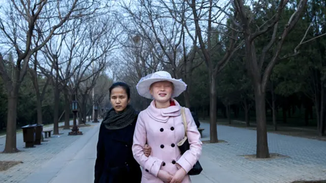 Foto: copyright albertbonsfills.com