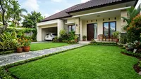 Cara Menanam Rumput Jepang agar Cepat Merambat: Kunci Halaman Hijau yang Memukau