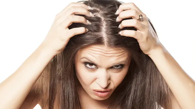 Foto: copyright thinkstockphotos.com