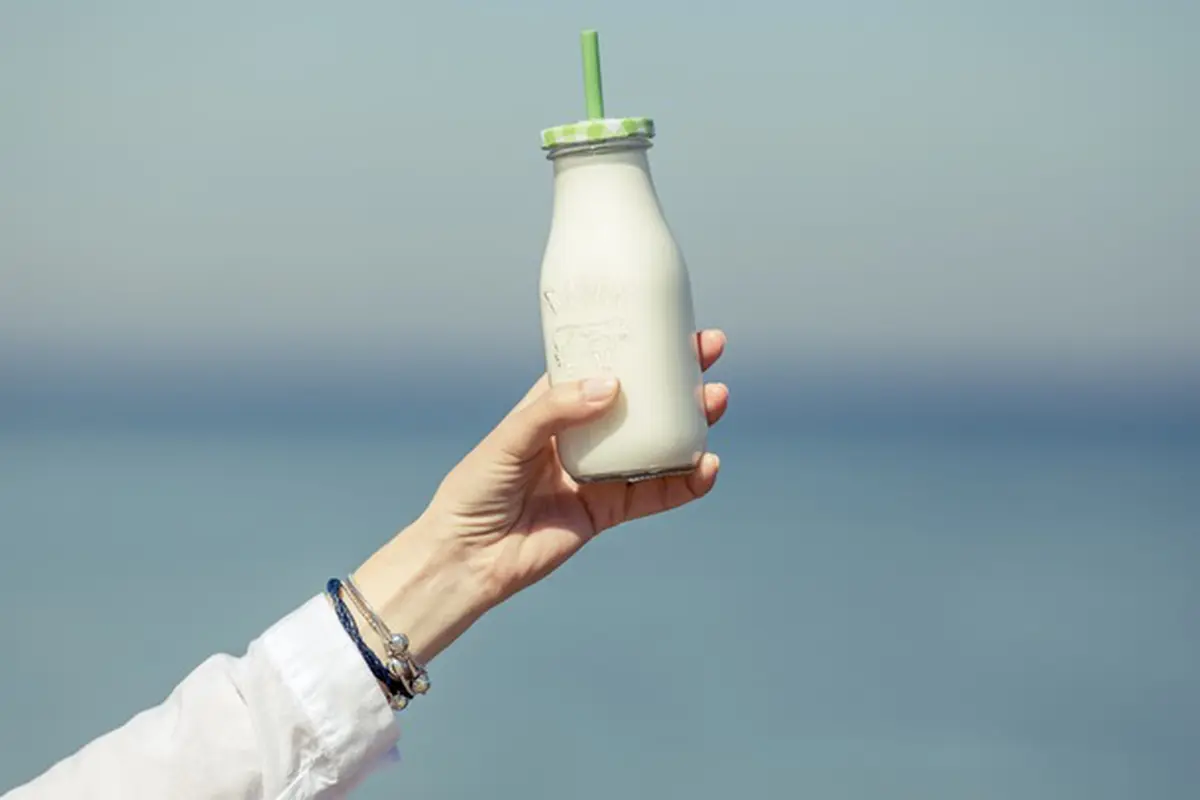 Alasan Anda Harus Minum Susu Sebelum Melakukan Sebuah Perjalanan