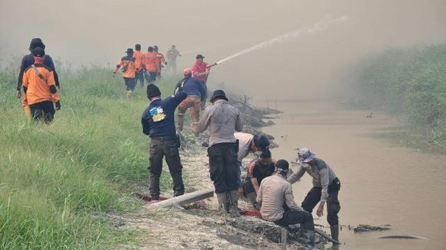 Petugas memadamkan kebakaran lahan di Pelalawan agar tidak meluas dan menimbulkan bencana kabut asap.