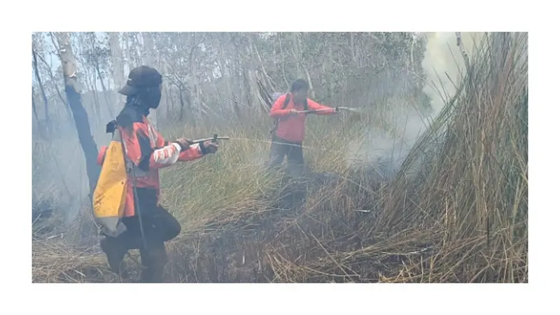 Proses pemadaman api di lahan Taman Nasional Way Kambas