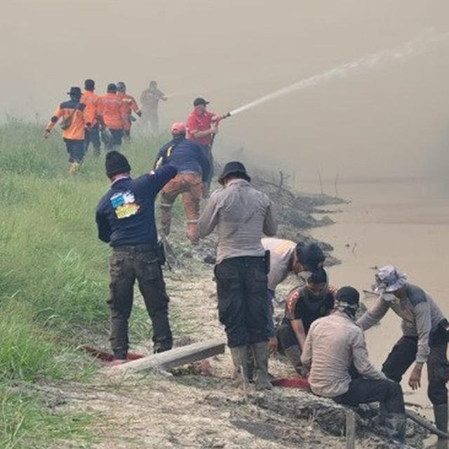 Menanti Kesaksian Warga Beberkan Dalang Kebakaran Lahan Di Pekanbaru Regional Liputan6 Com