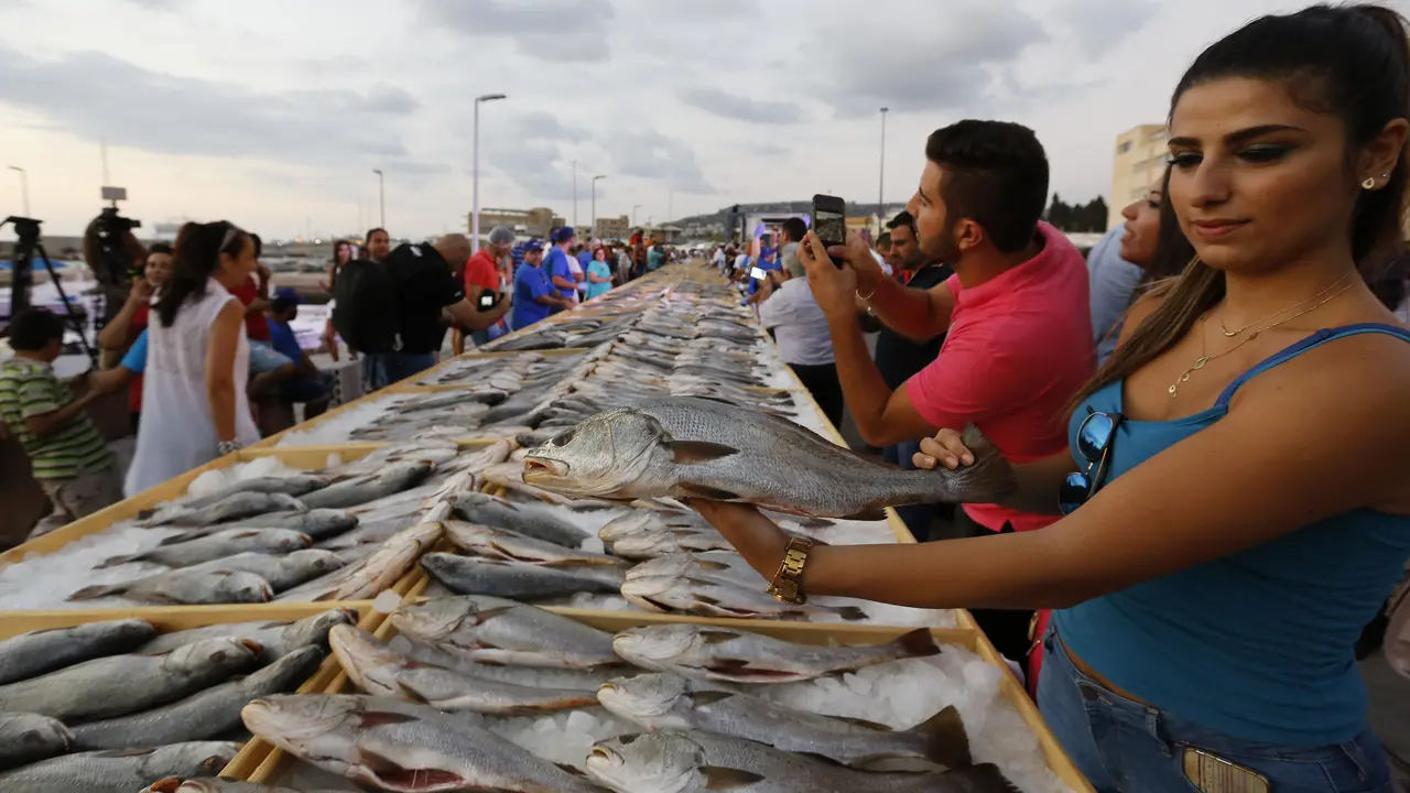 20160904-2 Ton Lebih Ikan Laut Ini Mampu Pecahkan Rekor Dunia-Lebanon