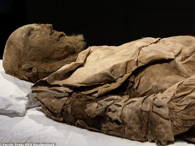 Mumi seorang Uskup dipamerkan pada museum sejarah Universitas Lund di Swedia. Mumi yang diperkirakan dari abad 17 ini masih terlihat utuh dengan rambut dan jenggot diwajahnya. (Dailymail.co.uk) 