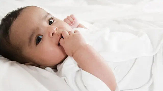 Courtesy ShutterStock.com