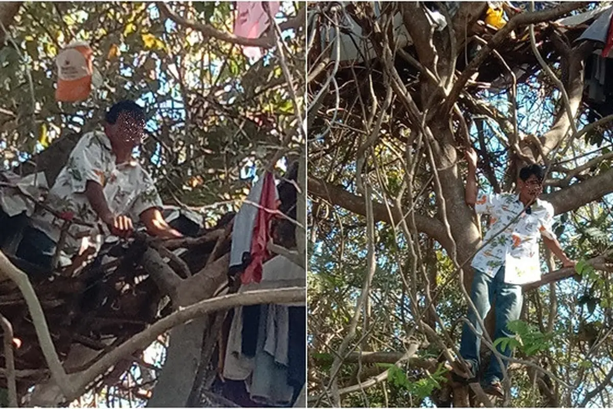Merasa Hidupnya Terlalu Berat, Pria Ini Memilih Tinggal di Pohon Sejak 3 Tahun Lalu