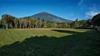 Area Hutan Desa Setianegara. (Foto: Shutterstock)