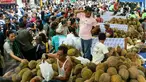 Pengunjung memilih durian di acara Durian Fair 2016 di Blok M Square, Jakarta, Sabtu (27/2). Dalam acara ini, pengunjung bisa menemukan sekitar 20 jenis durian unggul dari berbagai daerah di Jawa Tengah dan Jawa Barat. (Liputan6.com/Yoppy Renato)
