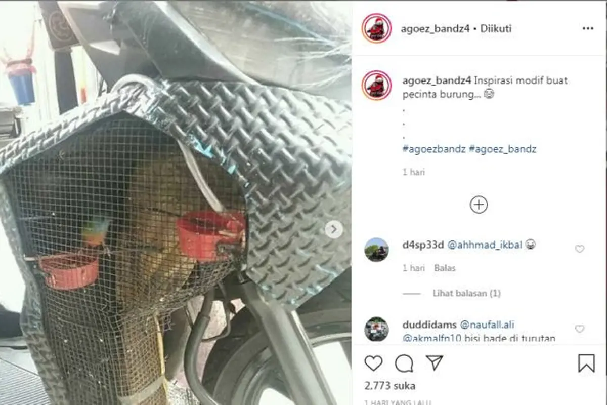 Motor Ini Dimodifikasi Jadi Kandang Burung (Ist)